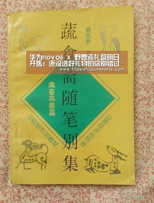 2026世界杯投注