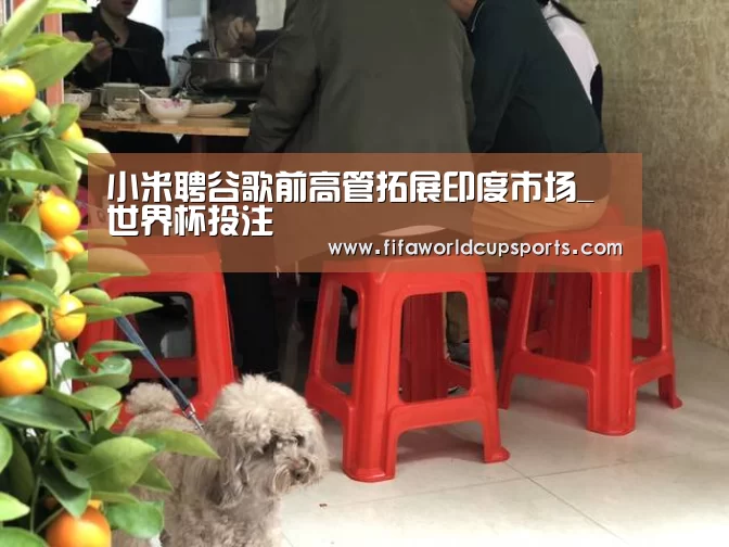 世界杯赌球
