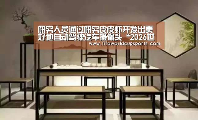 世界杯投注