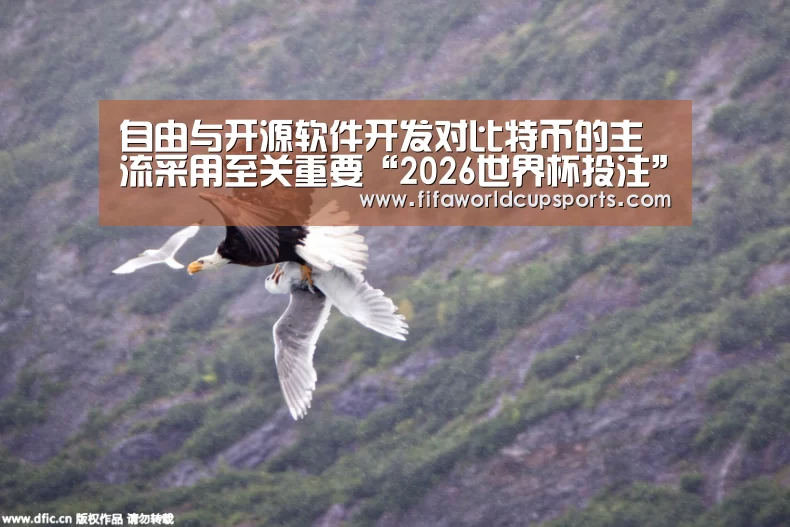自由与开源软件开发对比特币的主流采用至关重要“2026世界杯投注”