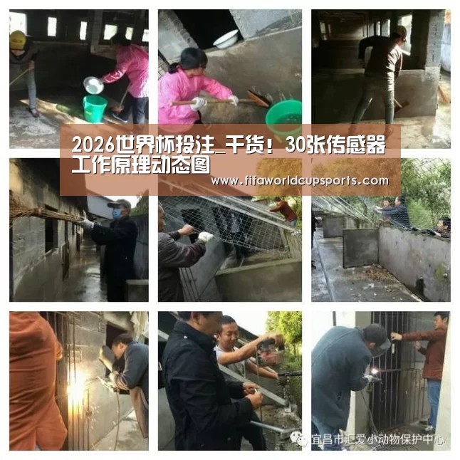 2026世界杯投注_干货!30张传感器工作原理动态图(图1) 2026世界杯投注