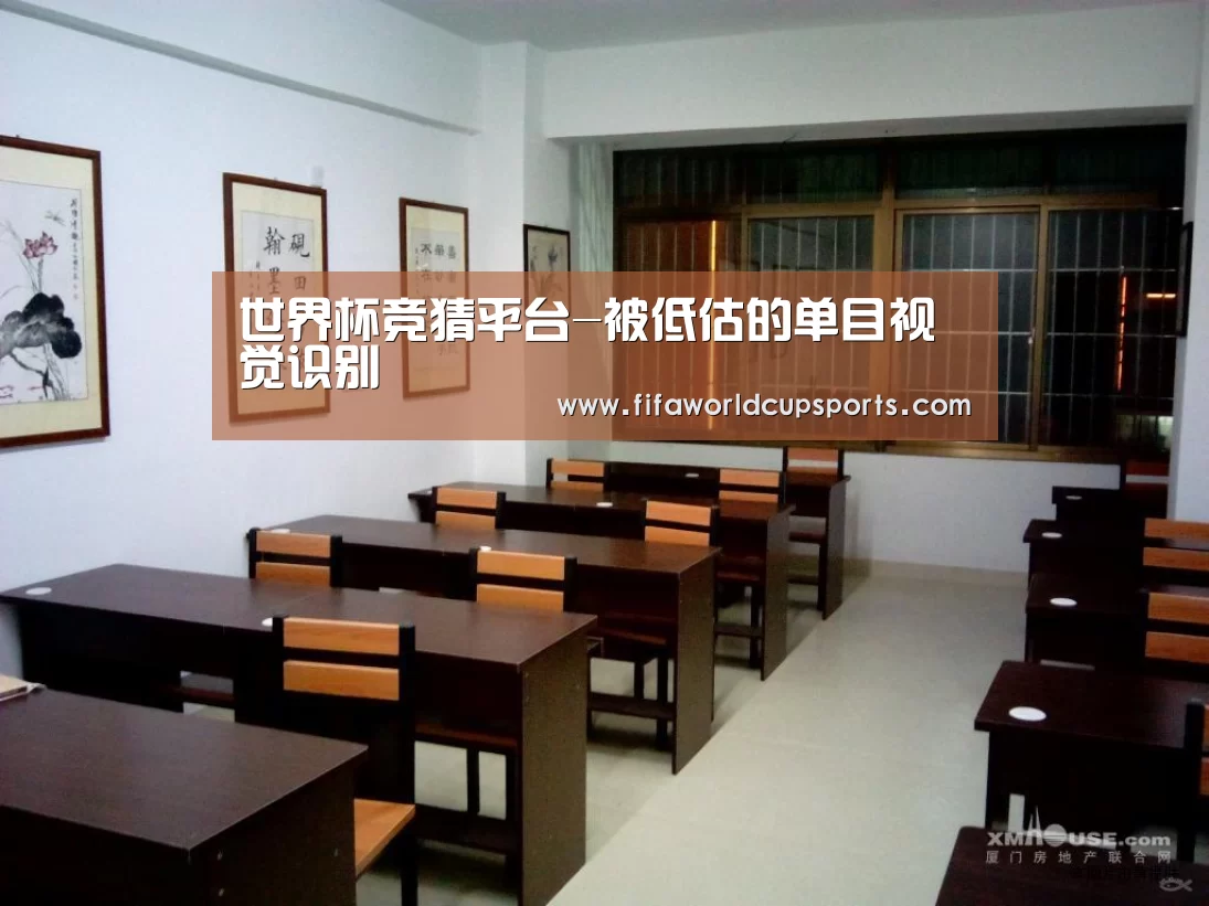 世界杯竞猜平台-被低估的单目视觉识别(图1) 2026世界杯投注